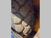 Marini MF691 Photo 9 thumbnail