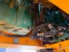 Volvo A40G (EXW - Abu Dhabi) Photo 11 thumbnail