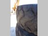 Tire with rim for 26.5R25 - COMPLETI DI CERCHI - AL 30% - Photo 3 thumbnail