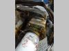 Transmission hydraulic pump for Venieri 12.23 Photo 1 thumbnail