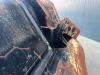 Verachtert CW40S Photo 8 thumbnail