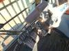 Hitachi ZX490LCH-7 Photo 17 thumbnail