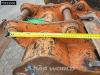 Caterpillar 305 E2 CR Photo 20 thumbnail