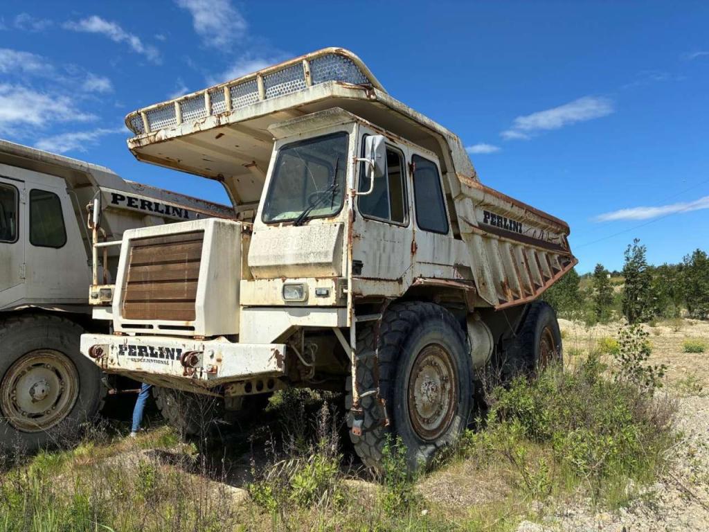 Perlini DP405 Photo 3