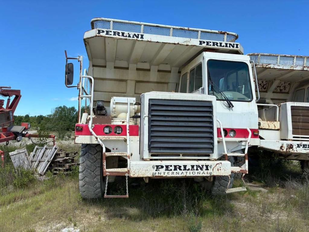 Perlini DP405 Photo 9