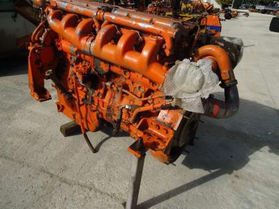 Internal combustion engine for Fiat TIPO 8210.22 TURBO (SEMICOMPLETO) sold by OLM 90 Srl