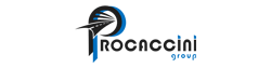 Dealer: Procaccini Group Nord