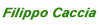 Logo Filippo Caccia