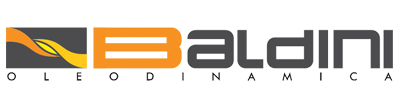 Logo  Baldini Srl
