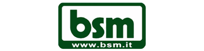Logo  BSM S.R.L.