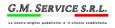 Logo  GM Service